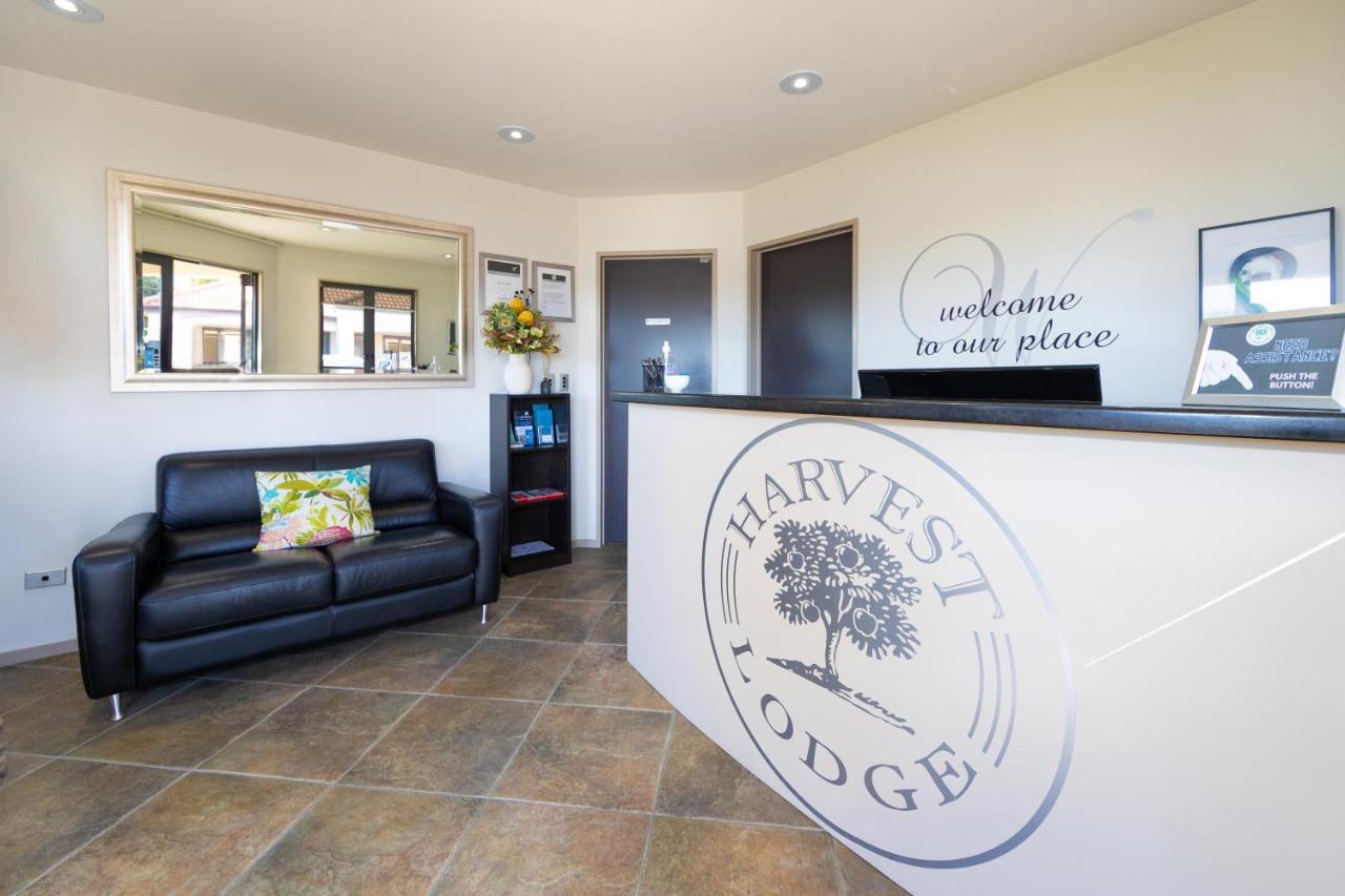 Harvest Lodge Motel Havelock North Eksteriør billede